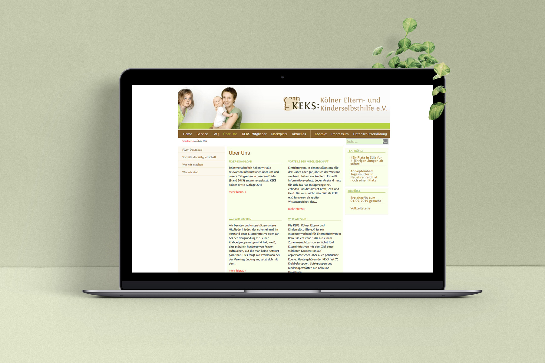 Webdesign – Eltern-Verband